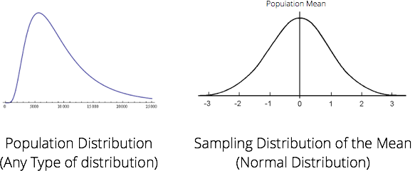 Population Distribution